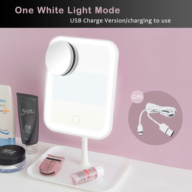 LED Makeup/Vanity Mirror With Adjustable Dimming