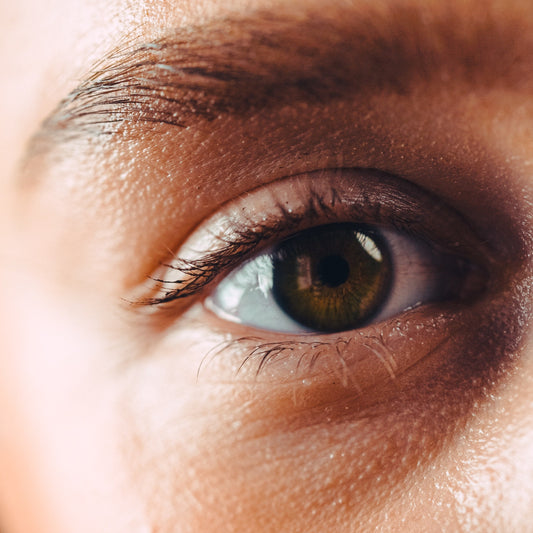 Eyebrow Wax, Tint, & Lamination