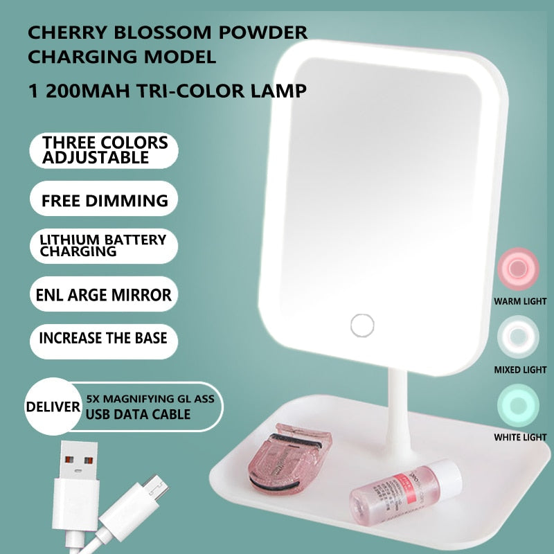 LED Makeup/Vanity Mirror With Adjustable Dimming